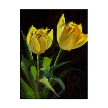Hall Groat Ii 'Yellow Tulips Black' Canvas Art,18x24